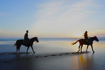 Couple Windsurf, Surf, Horse Riding Action week