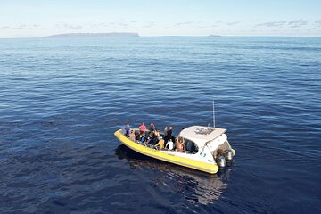 Shared 5 Hour Snorkel Niihau at The Forbidden Island