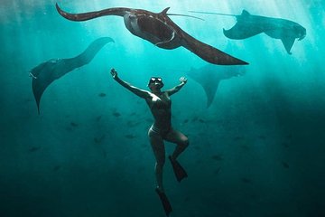 Snorkeling Safari in Penida Island with Pickup