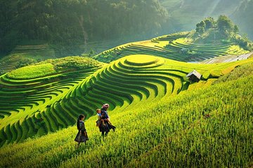 Sapa Unique Adventure from Hanoi 3-Day