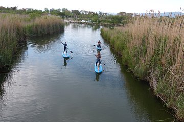 Paddle Surf excursion