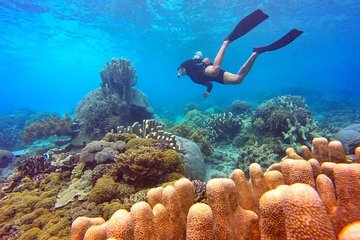 Half Day Join Tour Snorkeling in Nha Trang Bay Included Lunch