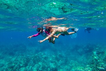 Big Island Snorkel Cruise Along Kohala Coast