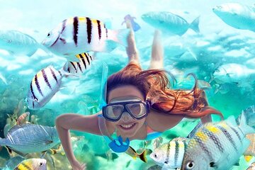 Snorkel in Reefs & Swim in Cenote with ATV & 3 Ziplines + Lunch
