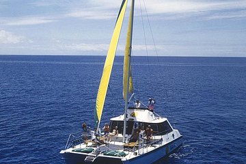 Diamond Head Sail and Snorkel Adventure