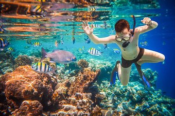 Land's end discovery snorkeling experience