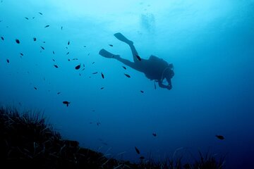 Padi Advanced Open Water Diver Course in Nea Makri,Athens
