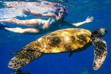 Group Turtle Town Kayak & Snorkel Tour (7am - 10am)