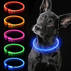 LED Dog Collar USB Rechargeable Nylon Dog Flashing Collar Adjustable with Steady Flash Blink Light Lightinthebox