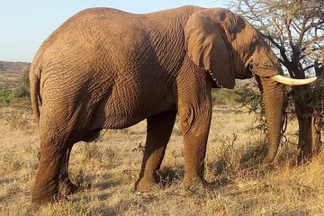 5-days-lake-manyara-ngorongoro-serengeti