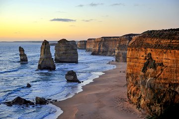 Great Ocean Road Tour Plus Koalas, Forest Walk And Morning Tea.