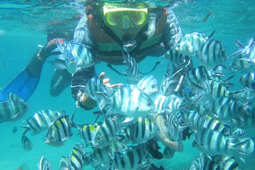 Bali : Snorkeling Tour at Blue Lagoon Padangbai