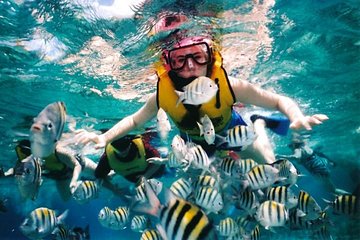 Private Tour: Tioman Island (Sribuat) Reef Snorkel & Summit Hike from Singapore