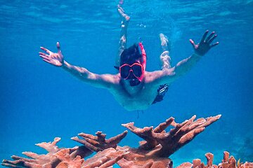 Explore the Beautiful Underwater World: Private Snorkeling in Bonaire