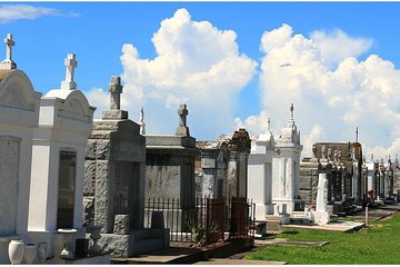 Henley's Private Tours - Many guest have said "Best Private Tour in New Orleans"