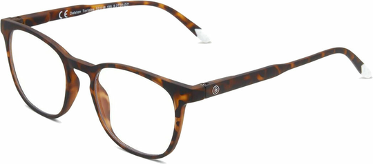 Barner Dalston Tortoise