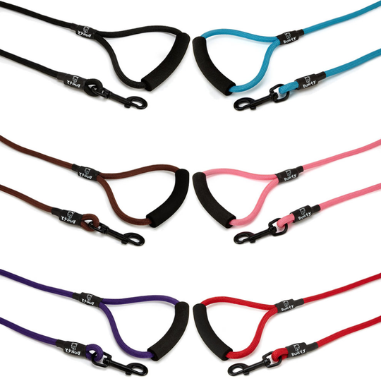 (Brown, Small) Bunty Strong Nylon Rope Dog Puppy Pet Lead Leash with Clip for Collar Harness