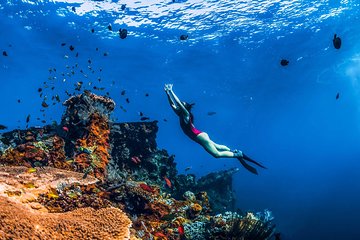 Amed Bali Snorkelling: Japanese Shipwreck & Vienna Beach - Full Day