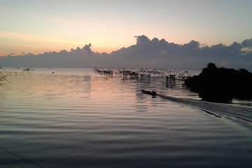 Nature and Culture in the South