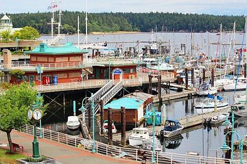 Vancouver to Nanaimo, Ucluelet, Tofino 2 Days Harbour City Tour Private