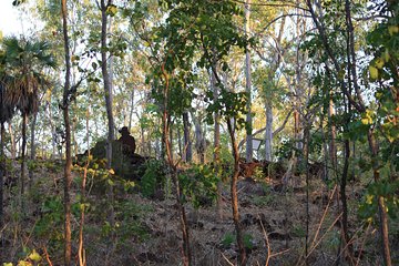 World War II Beyond Darwin