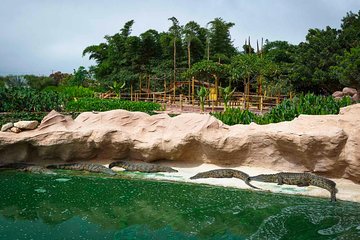 Paradis Plage Surf Yoga & Spa Resort to crocoparc agadir transfer included