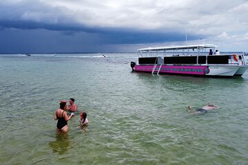 3-Hour Dolphin Watch and Snorkeling Tour