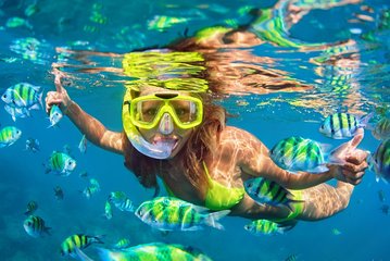 #1 Snorkeling Tour in Catamaran. Lunch & Open Bar included