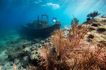 Irie Half-Day Snorkel and Lunch