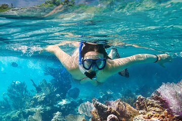 Snorkel in underwater museum MUSA