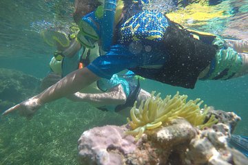 Snorkeling and Kayak Mini Eco-Experience