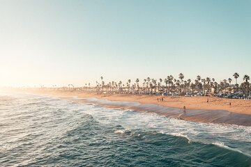Full Day Guided Tour of Santa Monica and Venice Beach with Optional Surf Lesson