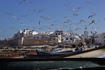 from Taghazoute bay Agadir: Essaouira private excursion
