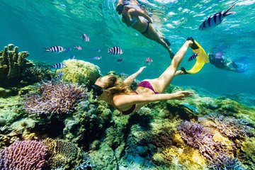 All Inclusive Bali Blue Lagoon Snorkeling with Lunch and Transport