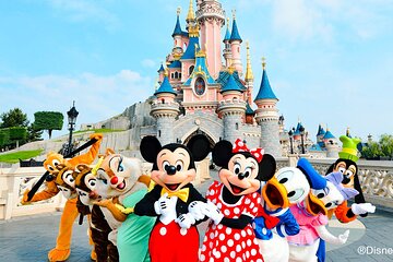 Private Transfer from CDG/ORLY/LBG Airport to Disneyland (Van 7 Pax)