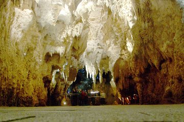 Waitomo Glow Worm Cave & Ruakuri Cave & Aranui Cave Tours From Auckland