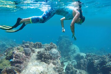 Private Guided 2-Hour Snorkeling Experience in Playa Mantas