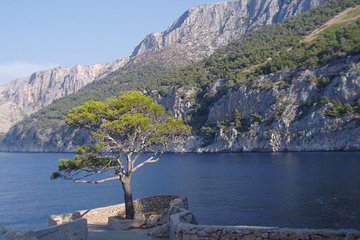 Mesmerizing Hvar South Shore wine tasting with RIB speed boat