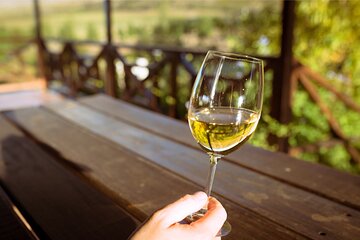 Cape Winelands and Kisternbosch Botanical Garden Full Day Tour.