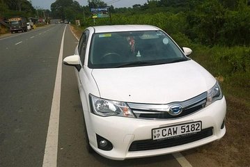 Airport - Nuwara Eliya - Ella - Yala - Airport : Private transfer by luxury car