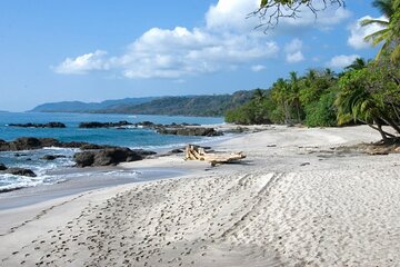 Shared Shuttle Arenal to Samara or Montezuma