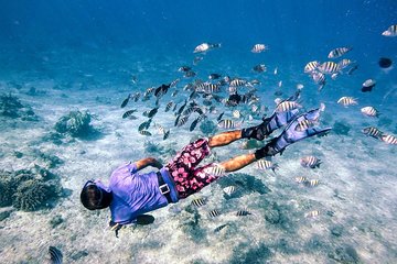Immerse yourself in the Caribbean Sea of Cozumel. Snorkeling adventure tour