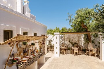 Olive Oil Tasting in Masseria in Ostuni