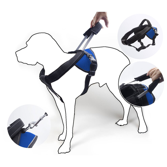(Blue, L) No Pull Dog Harness with Integrated Short Leash