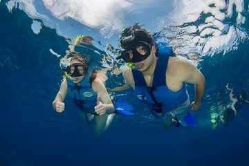 Cancun Underwater Museum Snorkel Tour