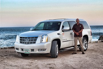 Full-Day La Paz Private Tour from Los Cabos with Cerritos Beach or Todos Santos