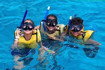 Snorkel Experience in Cancun - With Transportation