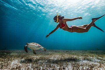 Maafushi: Snorkeling in Maldives half day trip