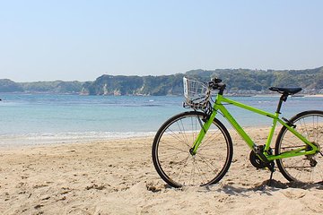 Private Tour - Forest Bathing and Seaside Cycling in Minamiboso