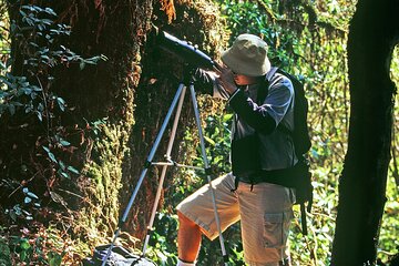 Full Day Experience 5 Hill Tribes Trek (Palong) by Van